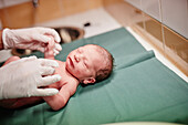 Newborn baby in hospital