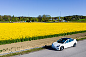 Car parked near blooming rapeseed field