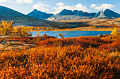Lake and bushes in mountain landscape in autumn