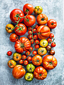 View of colorful tomatoes