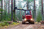 Forstmaschine bei der Arbeit im Wald
