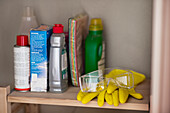 House cleaning agents and protective gloves and eyeglasses