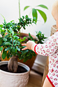 Baby girl touching potted plant
