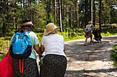 Rear view of women walking together