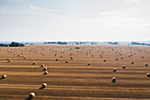 Blick auf Ballen auf dem Feld