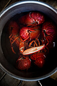 Boiling lobsters