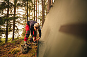 Female hiker pitching tent in forest
