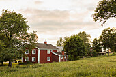 Falun red farm in rural landscape