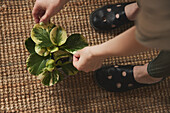 Woman holding potted plant