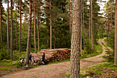 Radfahrer ruhen sich auf Baumstämmen im Wald aus