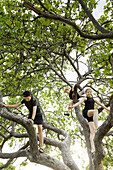 Kinder klettern auf einen Baum