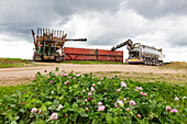 Agricultural machines at work