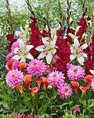 Bunte Sommermischung mit Gladiolen, Lilien, Dahlien und Calla