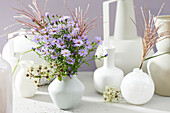 Mehrjährige Blumen in Vase