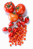 Verschiedene Tomatensorten auf weißem Untergrund