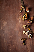 Porcini, chestnuts, chanterelles and trumpet chanterelles