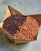 Mustard seeds in an origami paper bowl