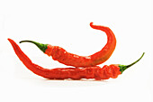 Calabrian red hot peppers