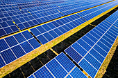 Rows of solar panels at solar farm, UK, aerial photograph