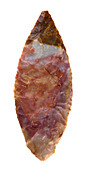 Neolithic stone tool