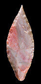 Neolithic stone tool