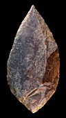 Neolithic stone tool