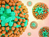 Influenza virus particles, illustration