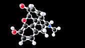 Morphine, molecular model