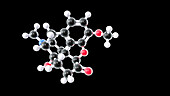 Oxycodone, molecular model