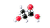 Lactic acid, molecular model