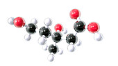 Mevalonic acid, molecular model