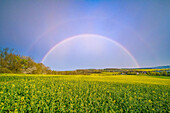 Rainbow over field
