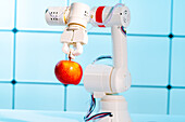 Robotic arm holding