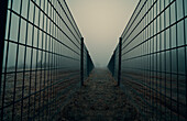 Wire fence in fog