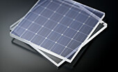 Transparent solar panels