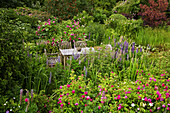 Garden table in the rose garden, Germany