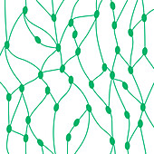 Lymph nodes, conceptual illustration