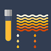 Urine colour chart, illustration