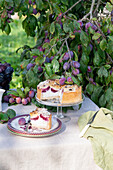 Plum cake in a garden with cottage cheese