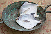 Two White Pomfret in an antique wooden round dish