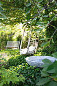 Swing chair by the ivy-covered tree, garden bench in the background