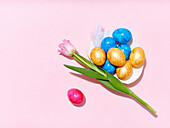 Creative layout with colored red and golden easter eggs and a tulip on bright pink background