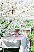 Tisch mit Kuchen unter blühendem Baum im Frühlingsgarten