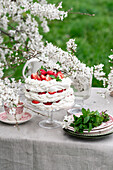 Strawberry pavlova cake