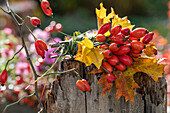 Herbstliches Sträußchen aus Hagebuttenzweigen und Laubblättern