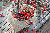 Rose hip twigs in a basket lined with jute on a table in the garden