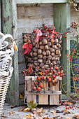 Basket with walnuts on an autumn terrace