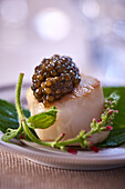A scallop with caviar