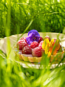 Raspberry tartlet with violet blossoms for a picnic
