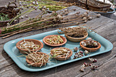 Various seed pods for seed collection in small bowls